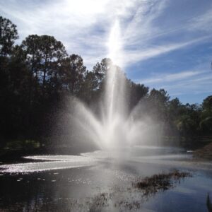 The EFL-450 Lighted Lake Fountain sprays upward 35' x 40' in a pond, framed by trees and a partly cloudy sky.