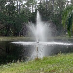 The EFS-2000 Pond Floating Fountain creates 18' x 20' sprays in the center of a small, grassy, tree-lined pond.