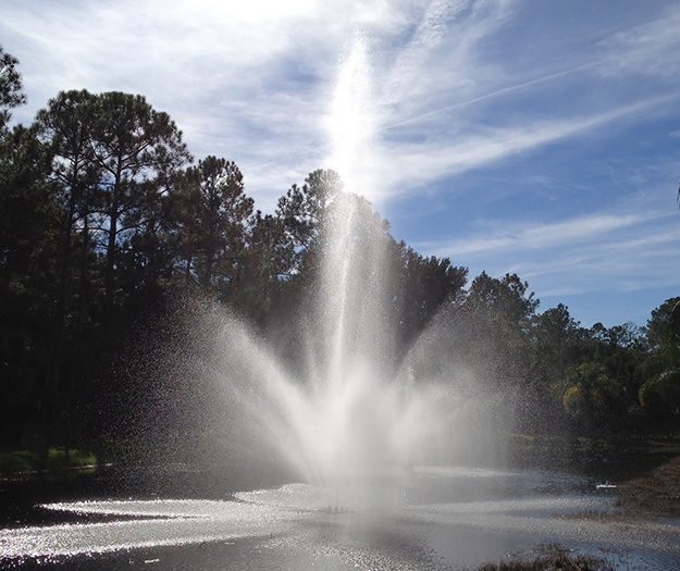 poud fountain